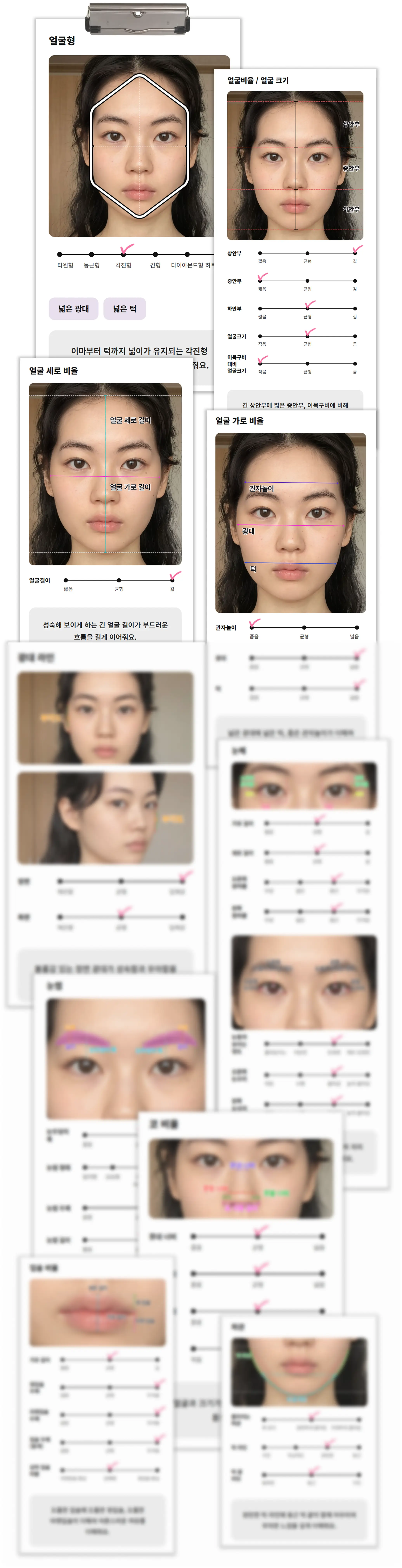 내 얼굴 분석 차트